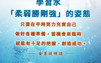 金菩提禪語 金菩提宗師-學習水 柔弱勝剛強的姿態-金菩提網友