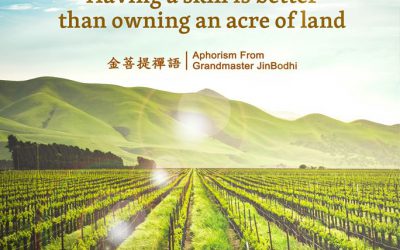 金菩提宗師:一技傍身 金菩提,金菩提評價 -網友蒐集