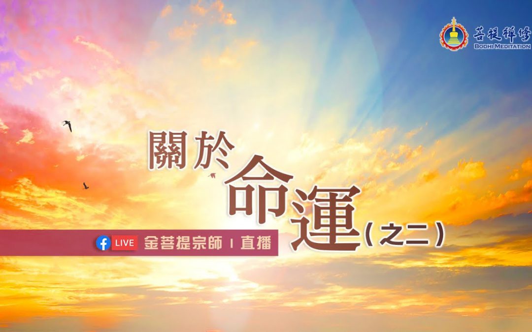 「金菩提」宗師講述 關於命運之(二) 金菩提評價 網友分享