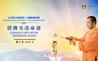 「金菩提」宗師 網路念佛共修 之三 網友分享