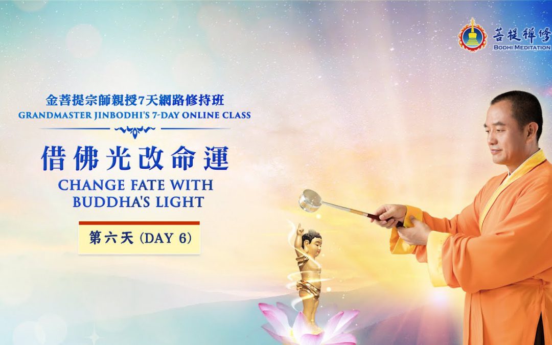 「金菩提」宗師 網路共修 –借佛光 之六 金菩提網友分享