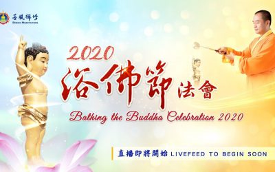 「金菩提」宗師 浴佛節網路直播加持效果 網友心得分享