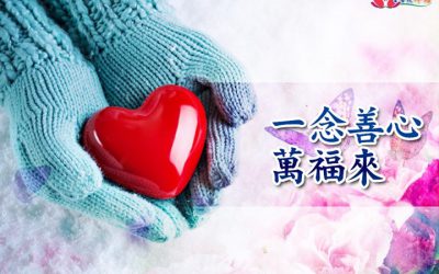 「金菩提」宗師  一念善心萬福來 金菩提禪語 . 網友分享