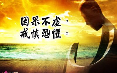 金菩提禪師評價 因果不虛，戒慎恐懼。網友分享