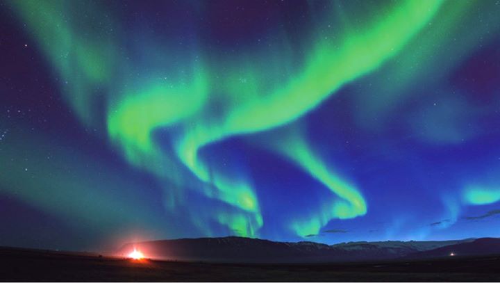 「金菩提」宗師 安靜的力量 網友分享心得