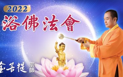 菩提禪修 2022浴佛節法會 金菩提宗師最新直播 |金菩提網友分享
